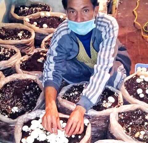 युवाओं को स्वरोजगार की राह देखा रहे आलम सिंह